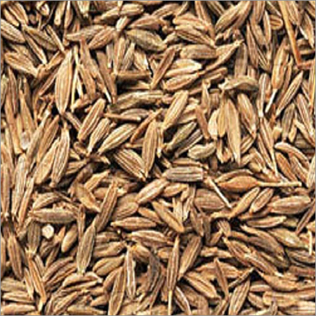 Cumin Seeds