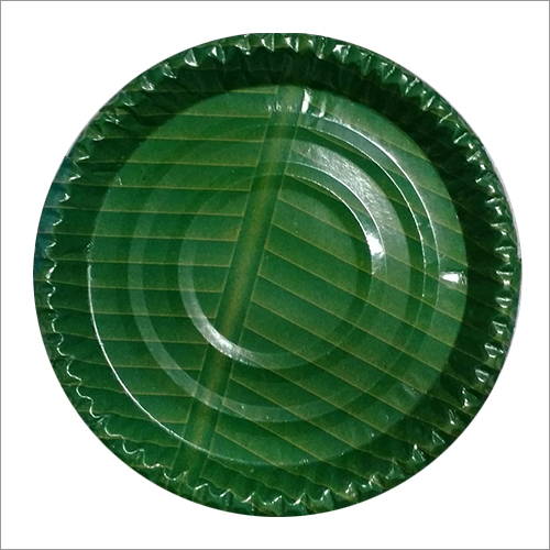 Eco Friendly Disposable Plate - Paper 10 Inch Green, Biodegradable Durable Water-Resistant