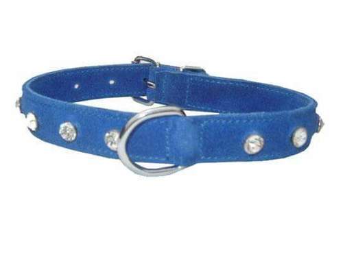 Blue Dog Leather Collar