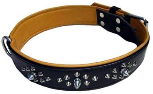 Black Designer Dogs Collar
