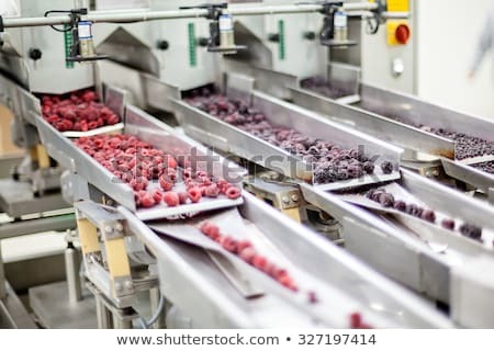 PLC Programming In Food Processing Machine