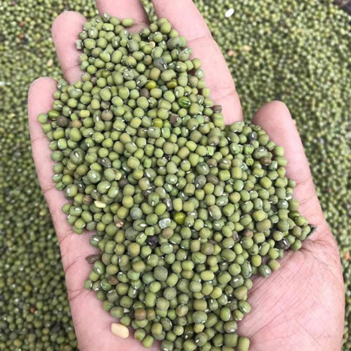 Peanuts in South Africa, Peanuts Manufacturers & Suppliers in South Africa