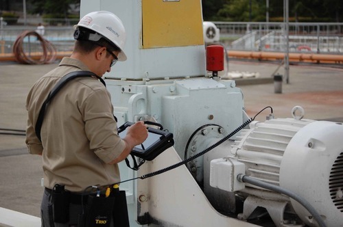 Vibration Analyst Consultant