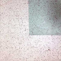 Custom Vinyl Flooring