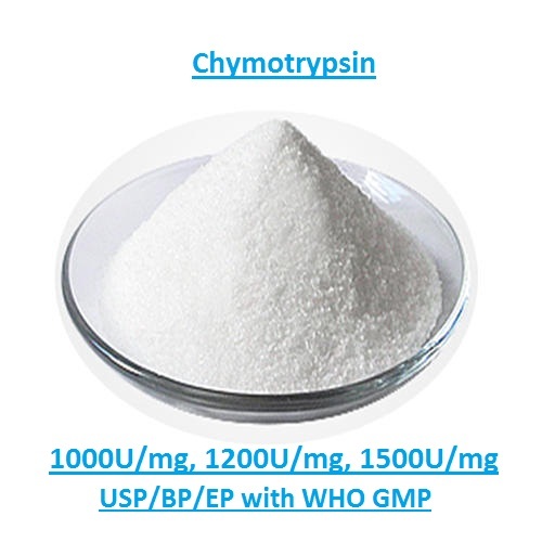Chymotrypsin Cas No: 9004-07-3