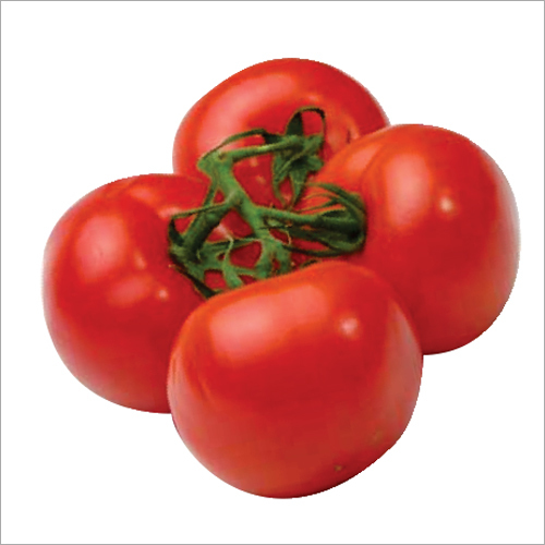 Vedic F1 Hybrid Tomato Seeds