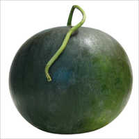 Vikram F1 Hybrid Water Melon Seeds
