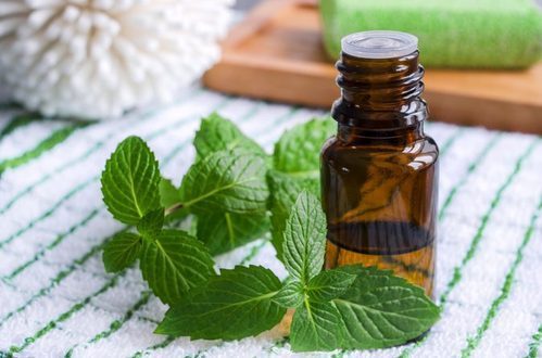 Mint Oil By ASTRRA CHEMICALS