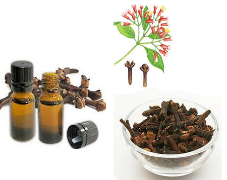 Clove Leaf Oil