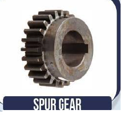 Spur Gear