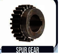 Spur Gear