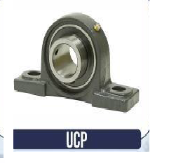UCP Bearing