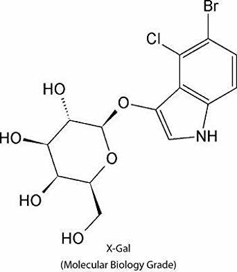 Lithium Chloride (For Molecular Biology) Cas No: 7447-41-8
