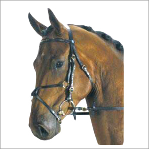 Horse Tack