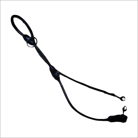 Dog Leash