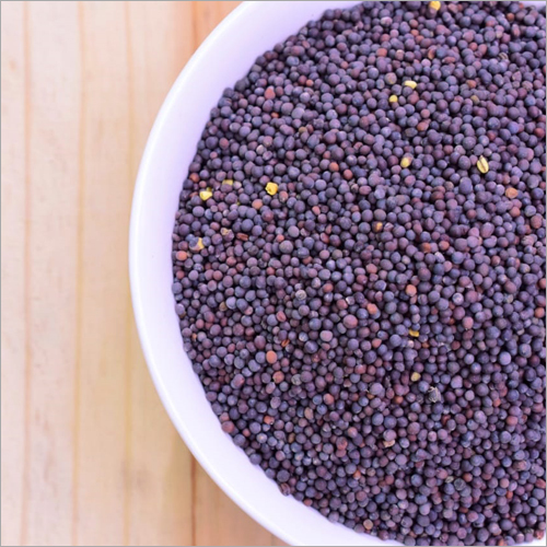 Black Mustard Seed