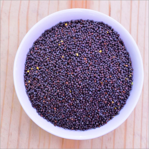 Mustard Seed