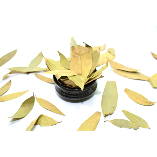 Bay Leaf