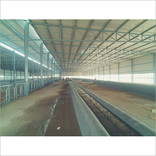 Cow Dairy Farm Shed - Steel Structure, Customizable Dimensions | Weather Resistant, Durable, Easy Maintenance