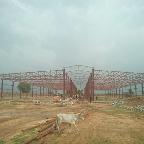 Buffalo Dairy Farm Structure