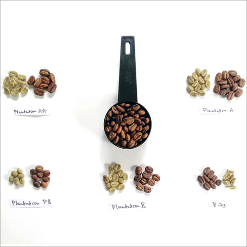 Coffee Varieties - Blended Arabica | A Unique Selection of Rich Flavor Profiles, Aroma Diversity, and Sourcing Variety