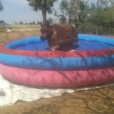 Bull Ride Dimension(l*w*h): 17 X 17 X 7 Foot (Ft)