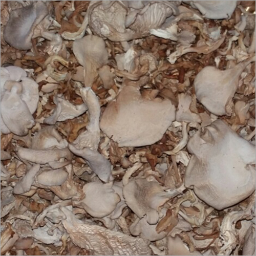 Fresh Dry Mushroom Fresh Dry Mushroom