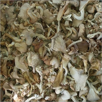 Natural Dry Mushroom
