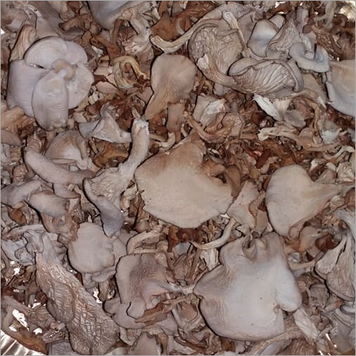 Organic Mushroom Organic Mushroom