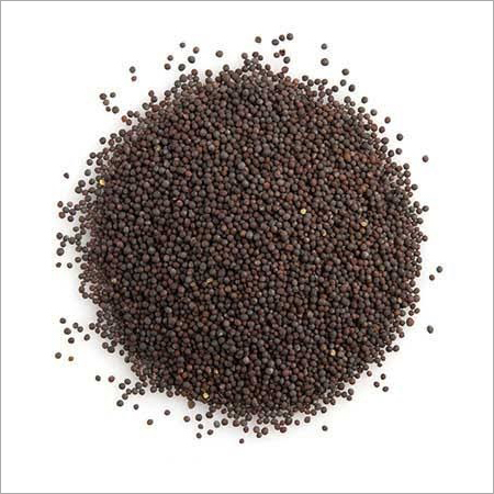 Mustard Seed Mustard Seed