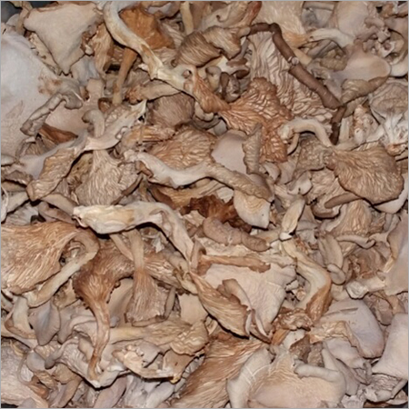 Natural Mushroom Natural Mushroom