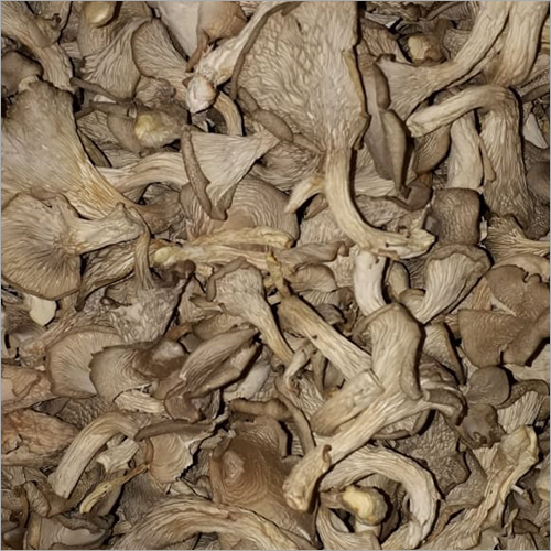 Dried Oyster Mushroom