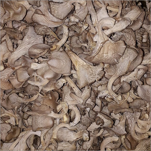 Frozen Oyster Mushroom