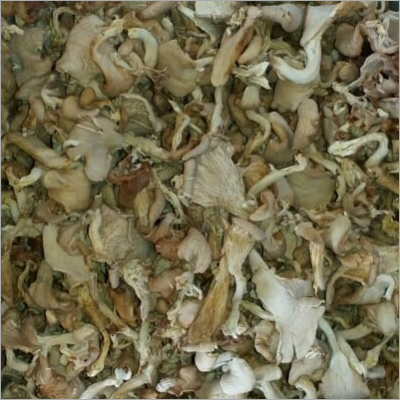 Organic Oyster Mushroom Organic Oyster Mushroom