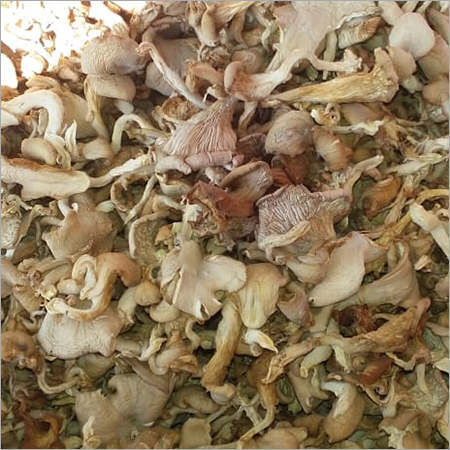 Button Mushroom Button Mushroom