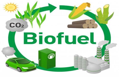 Bio ethanol fuel
