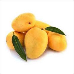 Fresh Alphonso Mangoes