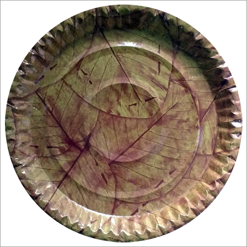 Disposable Paper Plate