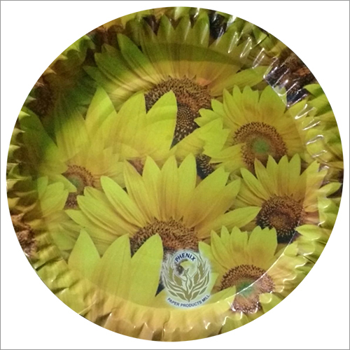 Disposable Paper Plate