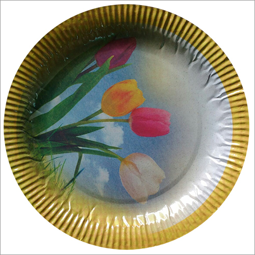 Disposable Paper Plate