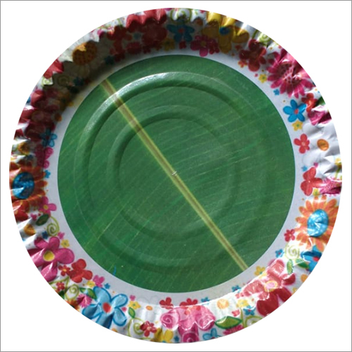 Disposable Paper Plate