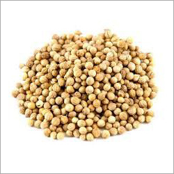 Natural Coriander Seeds