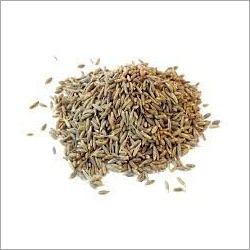 Raw Cumin Seeds