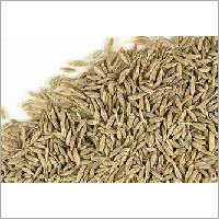 Loose Cumin Seeds