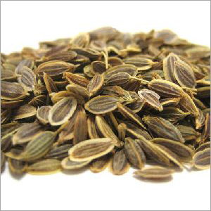 Natural Dill Seeds