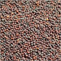 Whole Mustard Seeds