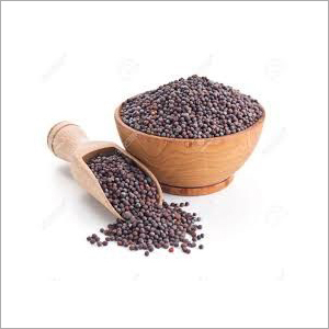 Loose Mustard Seeds