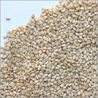Raw Sesame Seeds