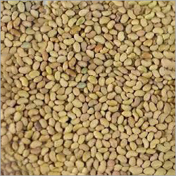 Alfalfa Seeds