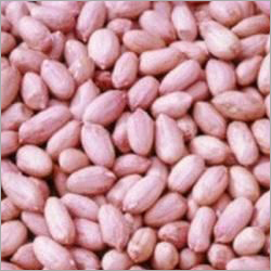 Bold Groundnut Kernels